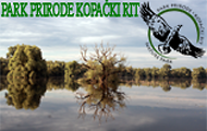 kopacki