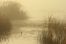 Vransko jezero objImg_2