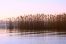 Vransko jezero objImg_4