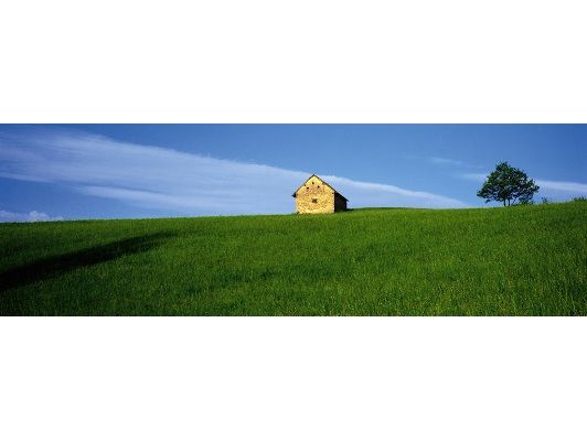 img2D