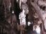 Cerovake peine objImg_4