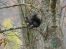 Velebit objImg_4