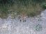 Velebit objImg_5