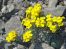 Velebit objImg_7