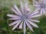 Velebit objImg_8