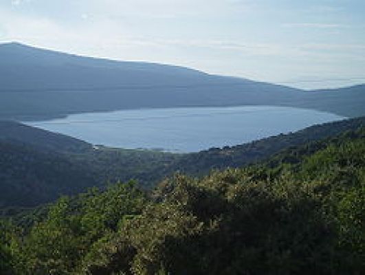 img2D