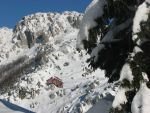 Risnjak