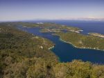Mljet