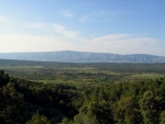 Starogradsko polje
